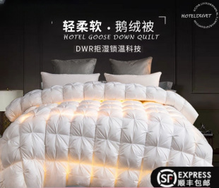 Down Quilt 95 White Goose down Winter Quilt Single Hotel Spring Autumn Winter Duck down Cotton Quilt Core Winter Thickeneded and Warm