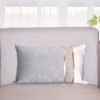 Swan, bar, two-color decorations, pillow for side table, pillowcase, Scandinavian sofa, Amazon, increased thickness