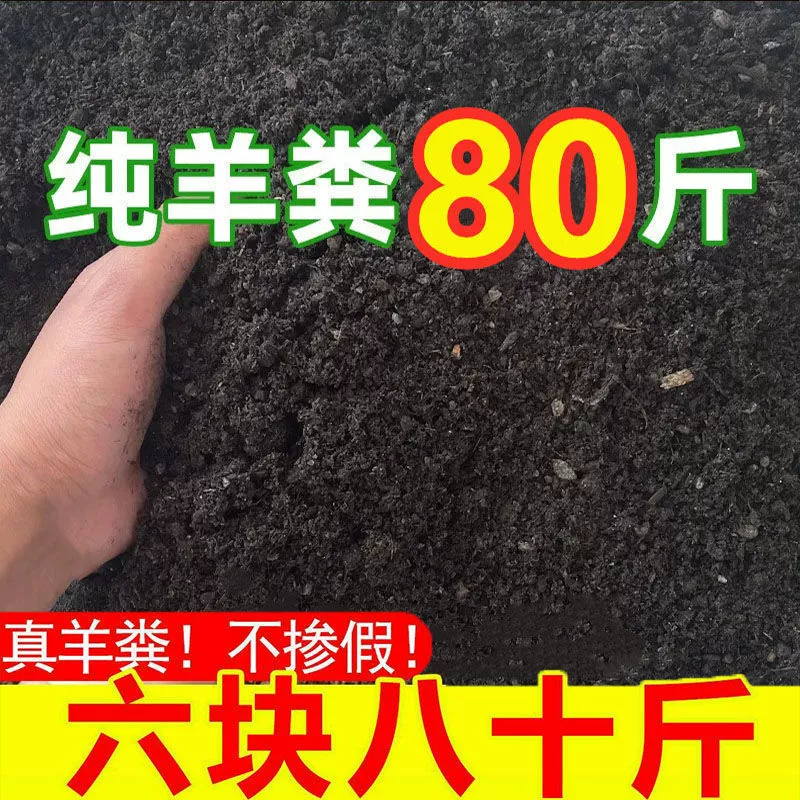 Ферментация овечьего навоза Органические удобрения Цветочные овощи, фрукты и фрукты