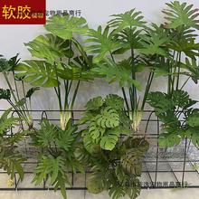 软胶龟背叶大把束叶子带根绿植景观装饰插花造景绿植花槽摆放