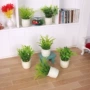 盆栽仿真客厅植物模型