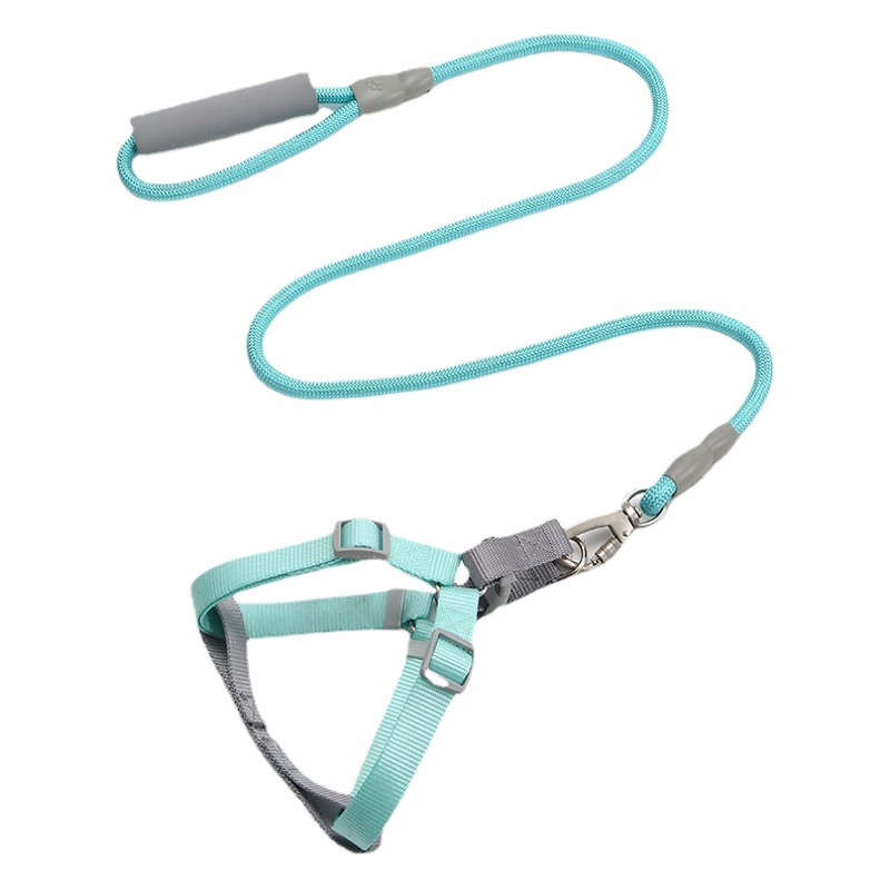 Correa para mascotas al por mayor macaron color pecho espalda perro Correa anti-rotura perro Correa perro cadena mascota