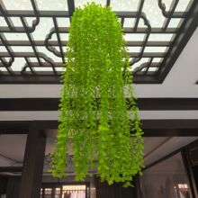 �羳���R�d���洹���҃��bGֲ��픴�����֦�pɫ��ɫ���l�^����