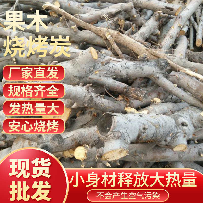 厂家直供烧烤火锅果木炭 质量保障烧烤果木炭 炼火高温低灰果木炭|ru