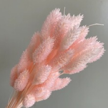 年宵永生花龙须草材蓬莱松布景新年豆吊米婚礼迎客粉色系家居装饰