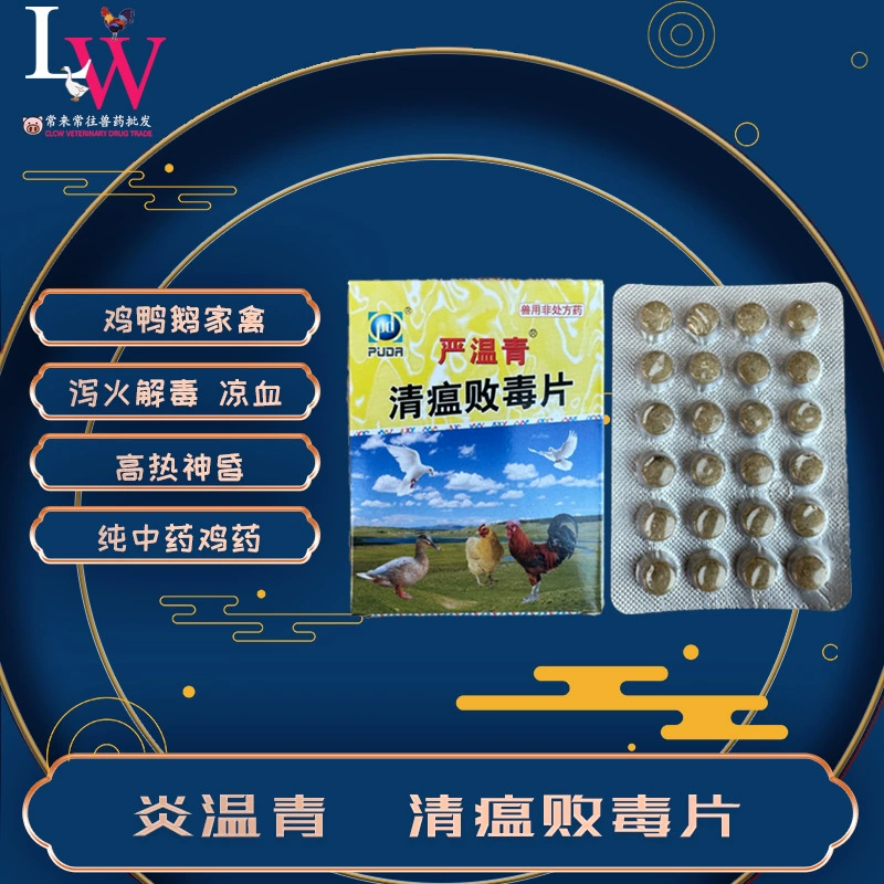 Ян Вэньцин Цинчуня Таблетки с отравленным вирусом Ян Вэньцин, курица, утка, гусиная и цыплята, большое количество таблеток с 24 таблеток с 25 коробками