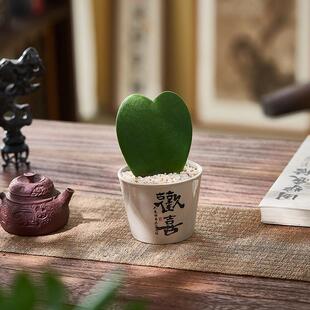 Heart-Shaped Tillandsia Potted Plant, a Gift for Lovers, Desktop Office Small Potted Flower Cactus