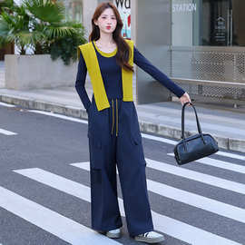秋装休闲套装2025新款韩版洋气女披肩针织衫阔腿裤三件套CB8598