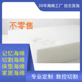 慢回弹记忆海绵床垫定制高密度海绵垫聚氨酯PU海绵可裁剪
