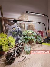 植物生长灯充电植物补光灯植物LED阳台全光谱激光照明USB多肉