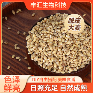 ÓƤ���� ȥƤ������ �r���Ԯa���� �ּZ�������