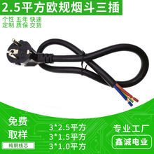 2.5ƽ���WҎ�������Դ�� HO5VV-F RVV 53�W������AC���^���넃β
