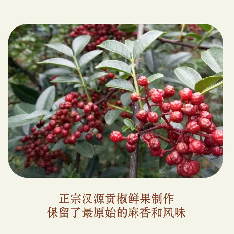 仟椒每味四川汉源花椒油家用特麻特香凉拌面条青花椒油藤椒油调味|undefined