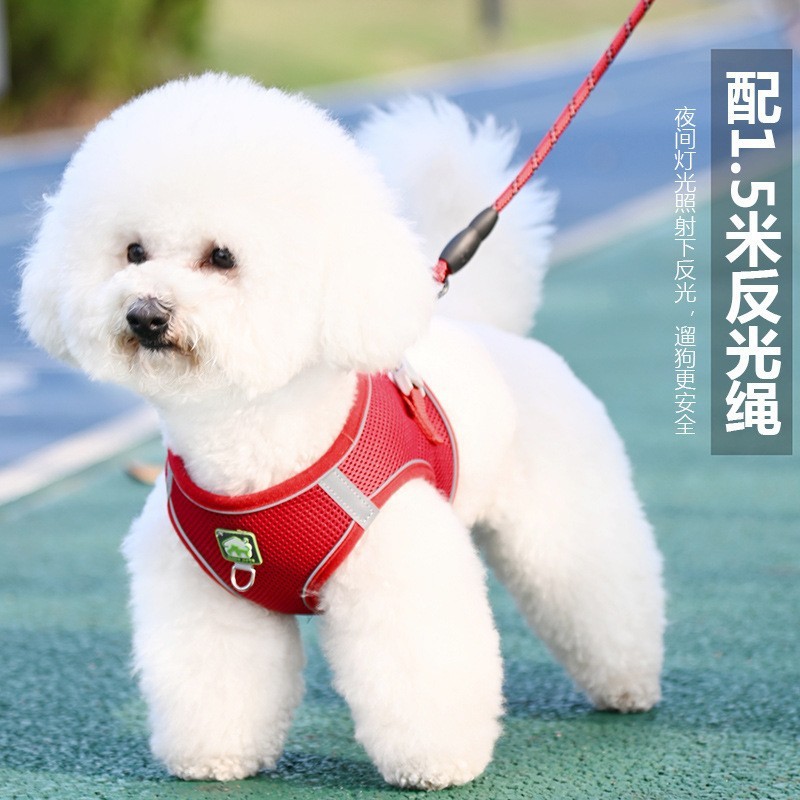 ペットリードナイロン反射伸縮犬リードベストスタイルテディビションポメラニアン反射ハーネス|undefined