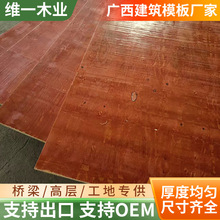 ���S����ľ�I���ؽ��BС�t����ľ��ߌӽ��B���̹�����ľģ�����l