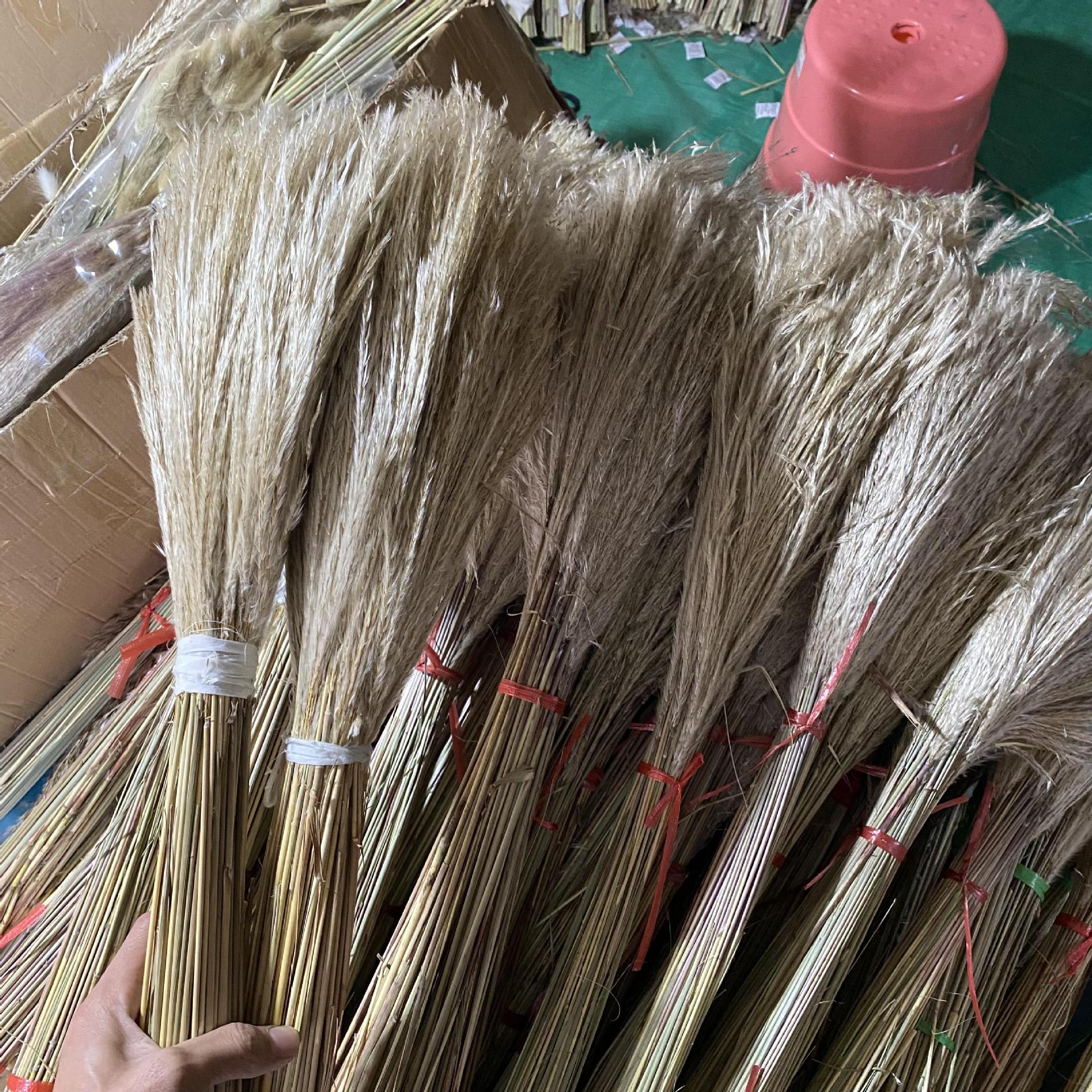 2021_11_01_11_15_IMG_0555