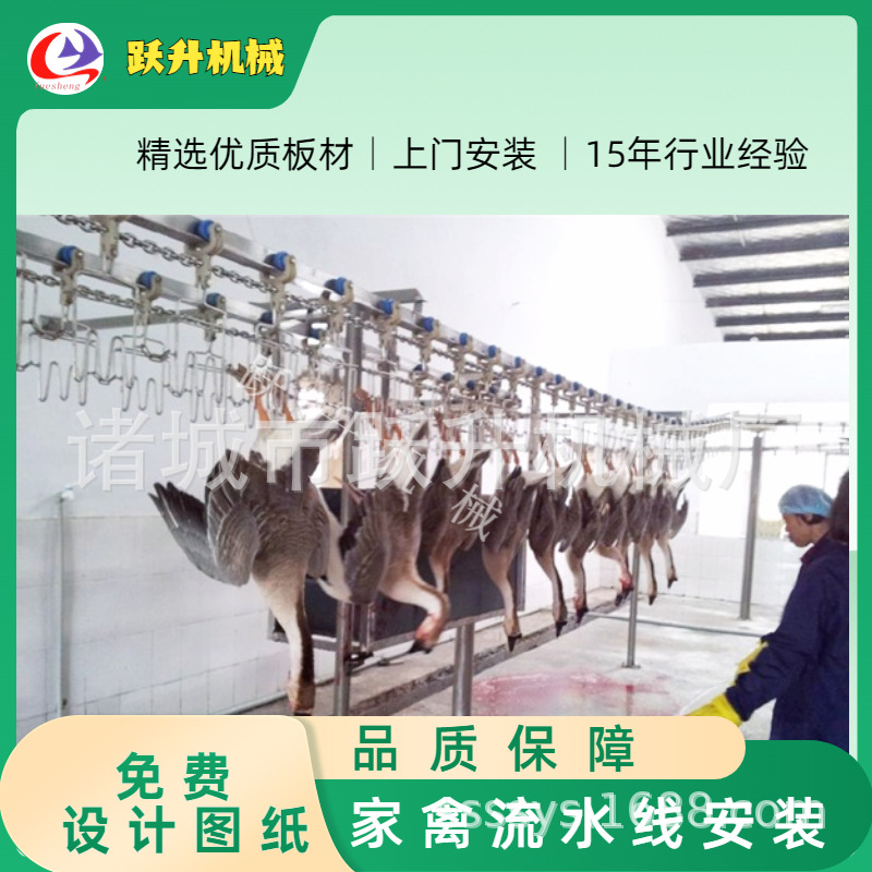 大鹅不锈钢屠宰线安装  鸡鸭蛋鸡生产线  全自鸡肉类加工设备D010