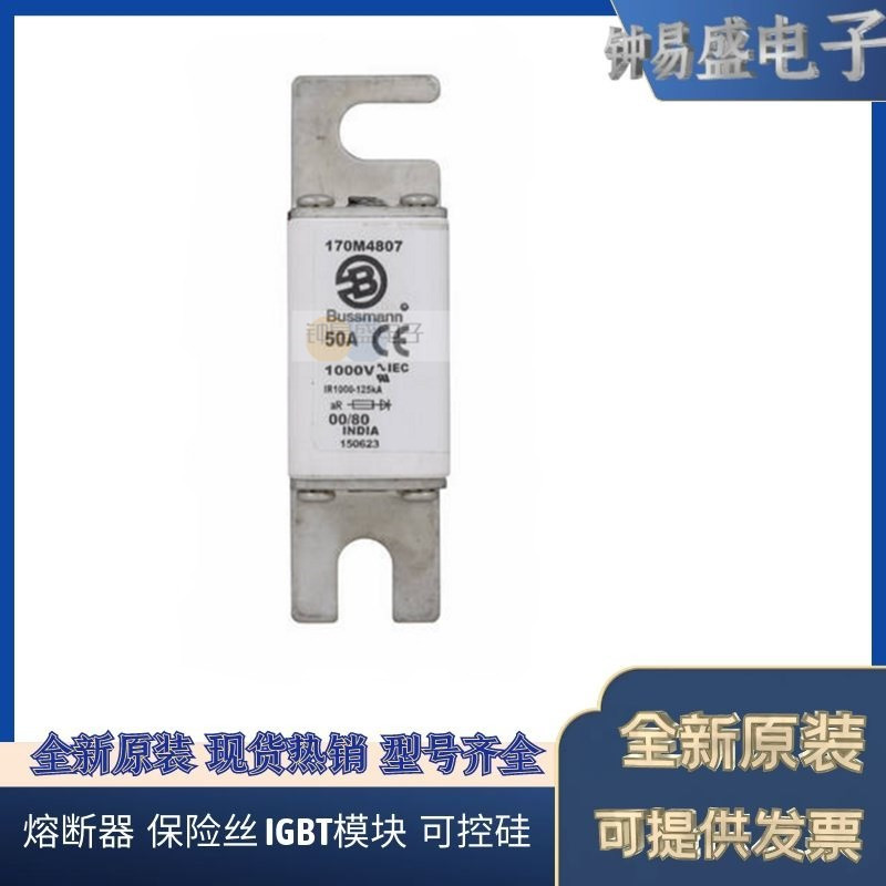 美国BUSSMANN熔断器170M5108  170M5109  170M5110 巴斯曼熔断器