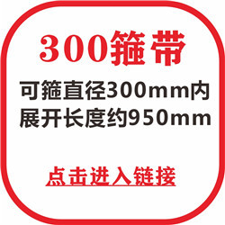 300箍