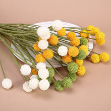 �����S����7�^�S����͏dܛ�b���ϼٻ�С����ƹ�������l�羳����