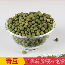 双青豆批发 各种青豆 青皮豆25kg青粒豆食品原料杂粮小粒青豆