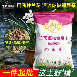 生长魔励兰花专用土植料营养土君子兰蝴蝶兰种植颗粒松树皮兰科土