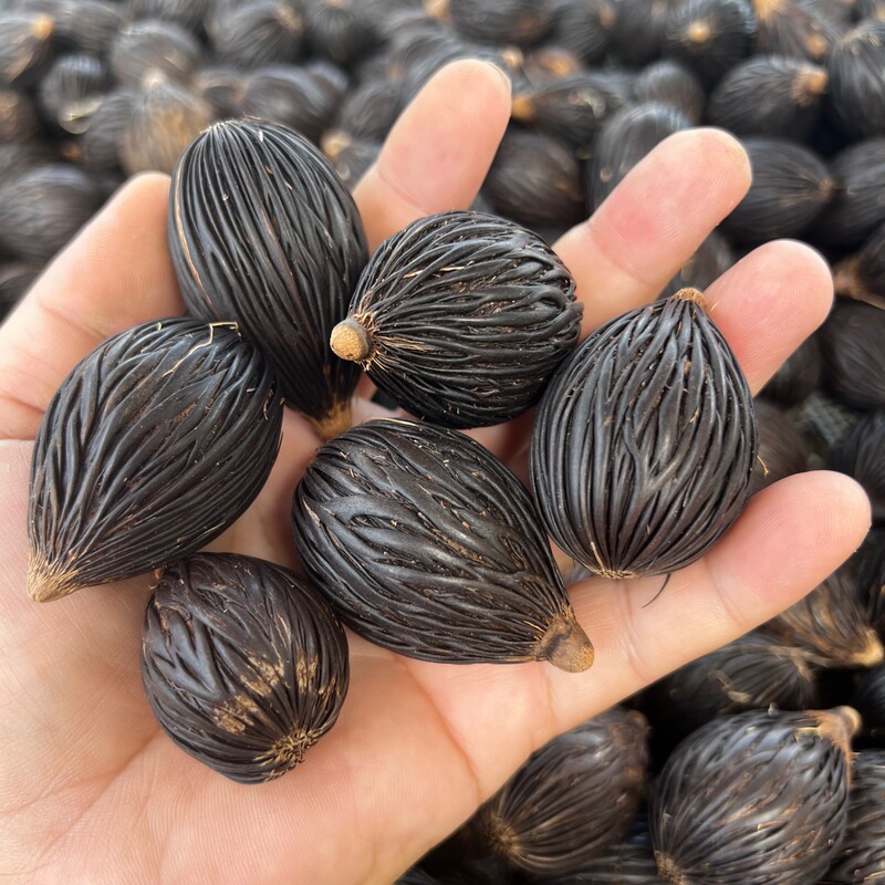 Natural Fox Tail Coconut Seed Pendant DIY Handmade Keyhole Pendant Wholesale Natural Fox Tail Coconut Seed Pendant DIY Handmade Keyhole Pendant Wholesale