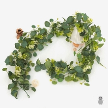 ?�����Gֲ�ȼ����ٗl�Ҿ��b��{�����ڳ������Gɫֲ��