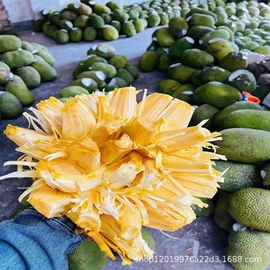 番薯类;柑桔;苹果