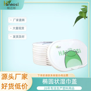 Manufacturer Processing Wholesale Flip Wet Wipes Cover Cartoon Custom Pattern Large Oval Sealed Wet Wipes Cover