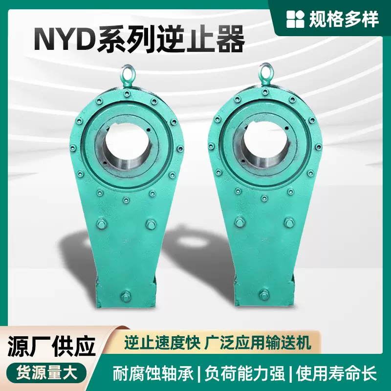 厂家供应逆止器 减速机输送机配件NJ(NYD)型DTIIN1型TD75型逆止器