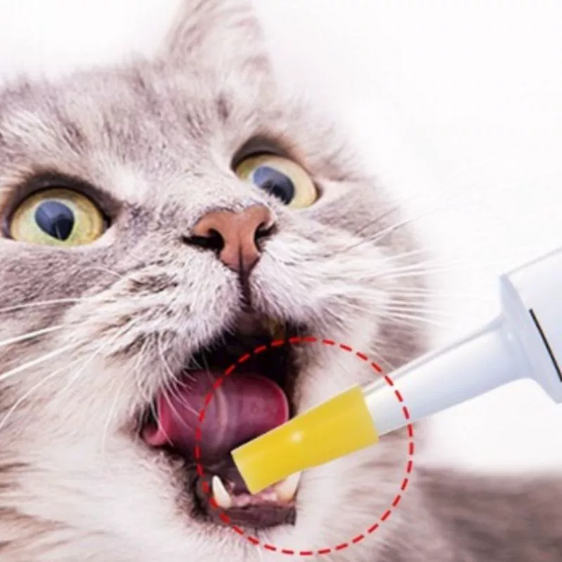 Устройство для кормления и подачи воды для домашних животных, шприц для лекарств для кошек, шприц с толстым носиком, жидкая пища и жидкая гидратация.