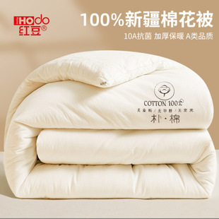 �½��޻������˱��Ӵ��ﱻо�Ӻ�ů�����ޱ������ޱ����ļ�ͨ��