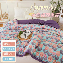新款A类春秋水洗棉被加厚保暖冬被芯亲肤双人宿舍空调被可水洗
