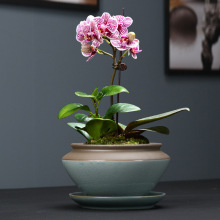 ��G��������m���û��莧�бP��̖�մ���}���s���m�Gֲ�m����