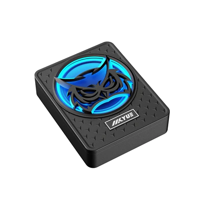 Audio Modification, Car speaker/subwoofer