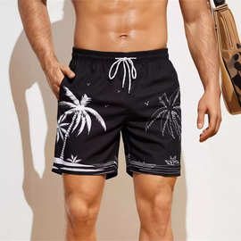 新游泳的短裤夏季休闲短裤男子打印游泳沙滩裤子街头3D男子速干