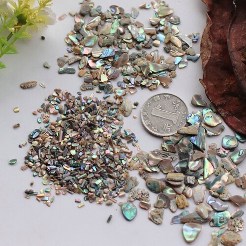Abalone, natural shell mother-of-pearl fragments, manicure sequins, decorative inlays, nail accessories