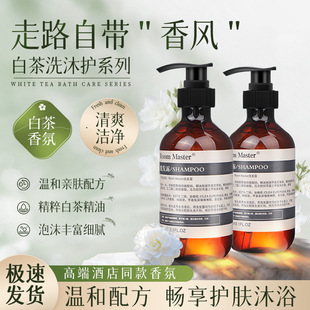 Five-star hotel hotel shampoo bath two-in-one suit conditioner hand sanitizer 300g toiletries wholesale