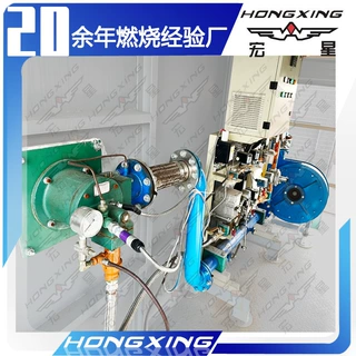 厂家RTO蓄热式焚烧炉燃烧设备 工业废气处理催化燃烧