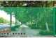 ☆★Encrypted nano green [only window screen no tools]-0.6x2m☆★