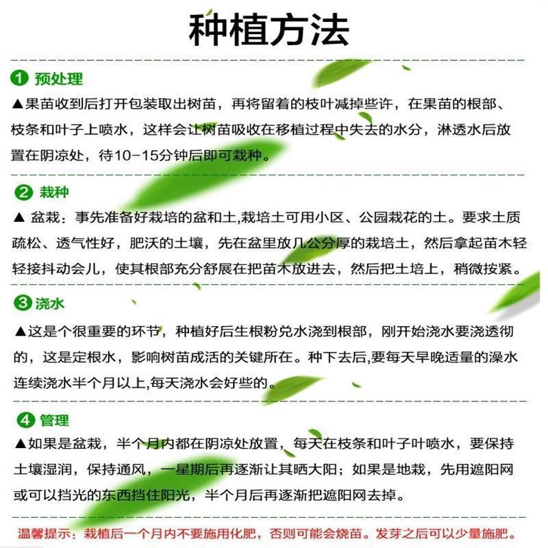 563282e7-f5d4-4cff-a777-629006