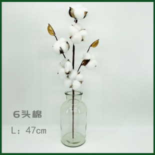 �羳؛Դ������6�^�ކΰ��޻����՚��� �����o�ķ����޻��ɻ�