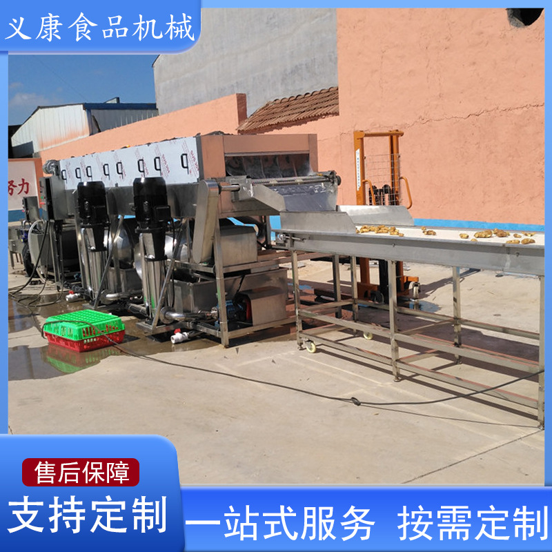 豆角鲜辣椒果蔬清洗机 工业食品厂喷淋式清洗机设备 鲍鱼清洗机