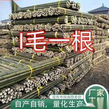 *����Ӵ����������ӗU�ˈ@��Ͷ����S�����t���Ϲ��߲����ټ�