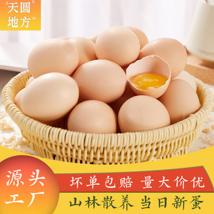 �x�ݱ��u��ɢ�B���u�����l���]���r�r��Ұ�������ЋD�����u���I�B