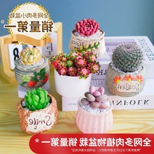 �羳����ֲ��M���҃�С������¶�ҵ��Ϙ�������Gֲ�׃��@�̴��l