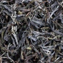 临沧懂过古树普洱生茶 散茶500g批发新茶春茶 云南古树晒青散茶叶