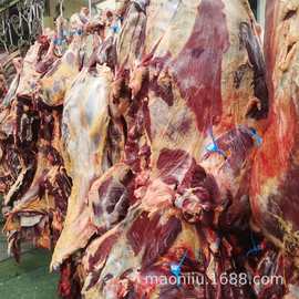 家畜养殖全流程实战指南:从青海湟源养殖场看牛羊养殖、种畜繁育与活畜批发的经营逻辑