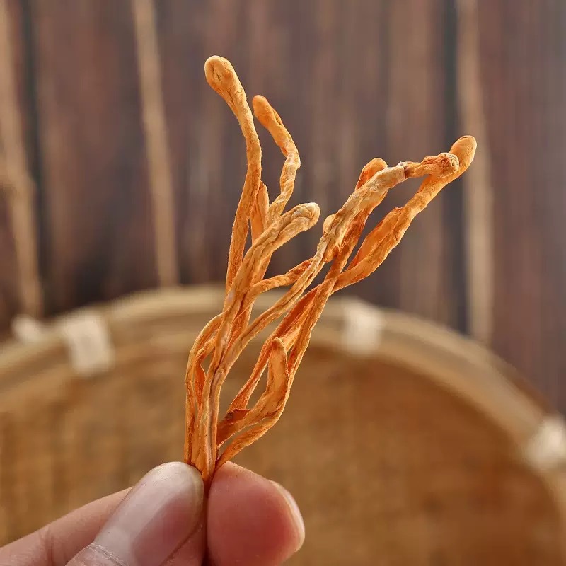 Cordyceps Flower Chong Cao Hua Dried Cordyceps Militaris Fruiting Bodies 500g for Soup and Tea quality and texture